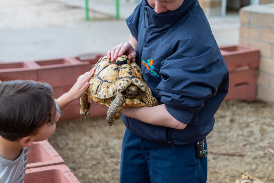 Read more about the article Understanding Trauma-Informed Care: Why It Matters