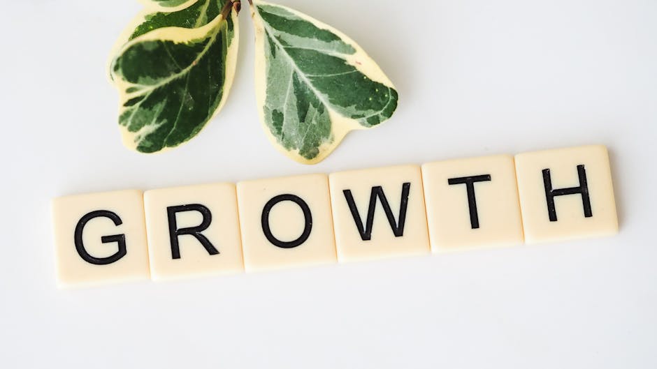 Read more about the article Top 5 Personal Growth Strategies You Need to Succeed